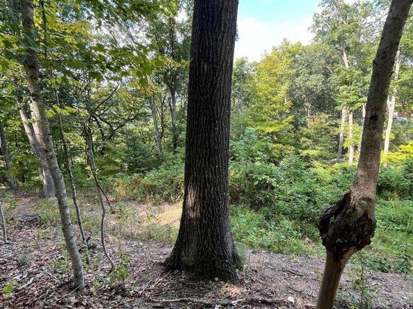 LOT 4 Ellison Ridge Rd, Jumping Branch, WV 25969