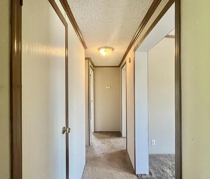 223 Bradford Ln — Photo 35