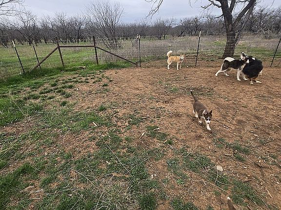 3rd image of 815 Lake Bernie Rd