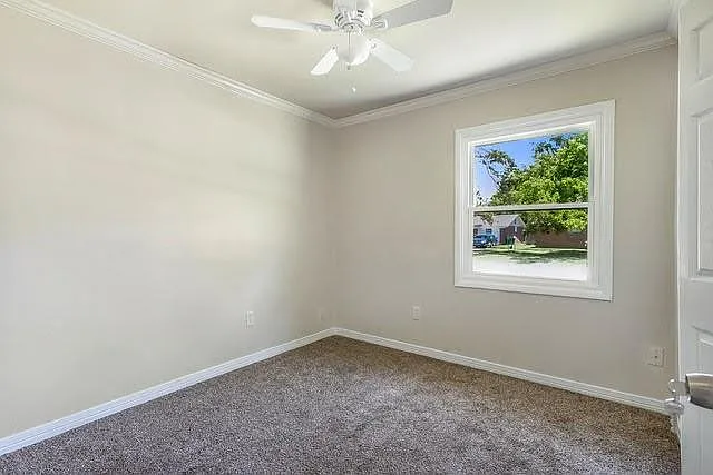 207 Walnut St — Photo 5