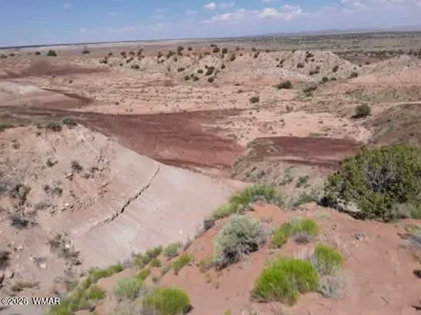 210-06 Five #206-51-136, Chambers, AZ 86502