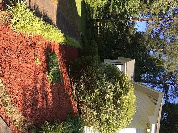 3rd image of 3137 Hidden Forest Dr