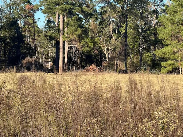 Private Road 1315, Centerville, TX 75833
