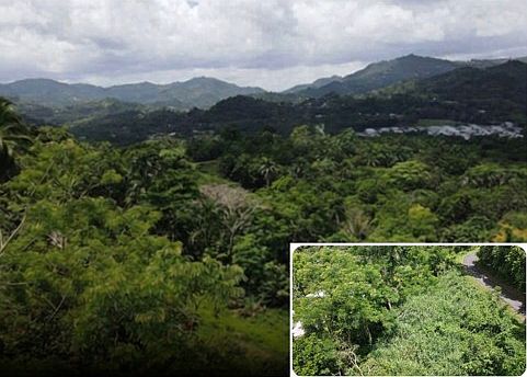1st image of State Route 174 Km Guaraguao #8.5