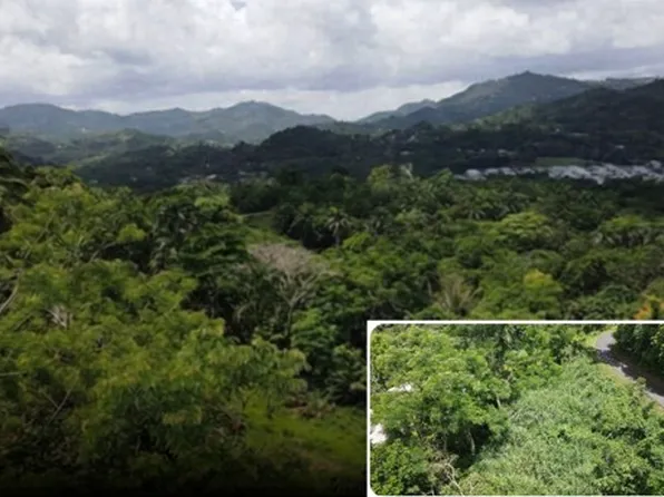State Route 174 Km Guaraguao #8.5, Bayamon, PR 00956
