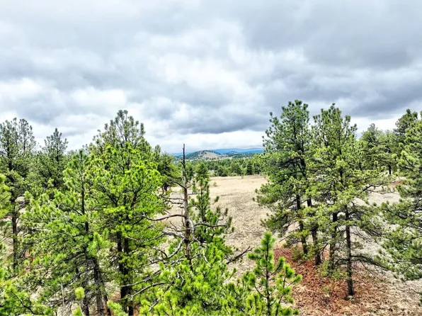 5401 County Rd 71 Drive, Guffey, CO 80820