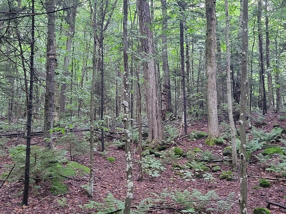 2nd image of 00 Heartwellville View Road #70