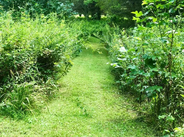 Smith Landing Ln, Hillsville, VA 24343