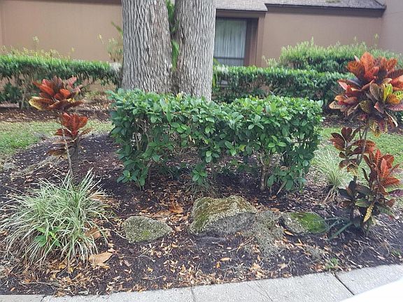 2nd image of 5 Broadmore Cir