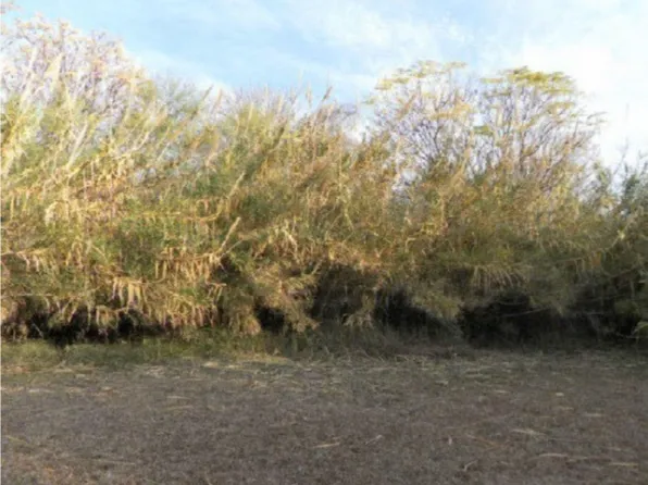 212 Bouganvilla St #8, Del Rio, TX 78840