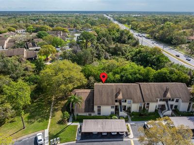 2816 Countrybrook Dr APT 12, Palm Harbor, FL, 34684