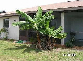 BACK LANAI UNIT A