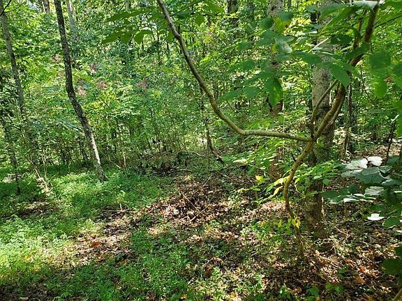 4th image of 290 Noelle Ln