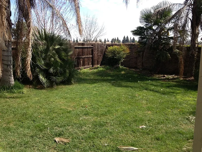 1194 Solstice Ave — Photo 4