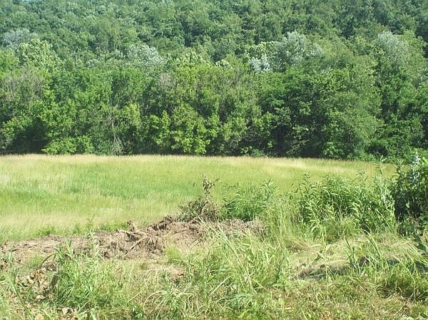 2nd image of Wakefield Mound Rd