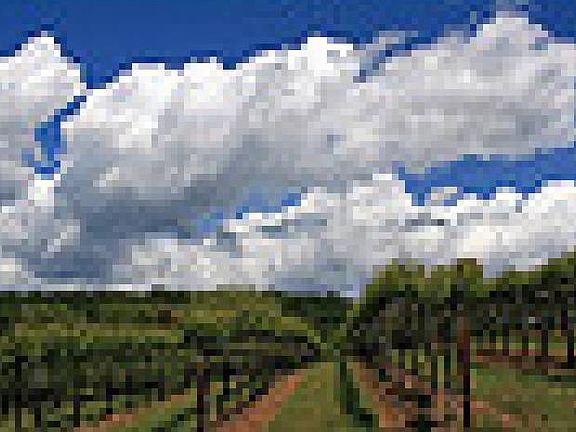 Neighborhood Rt 5 Rd