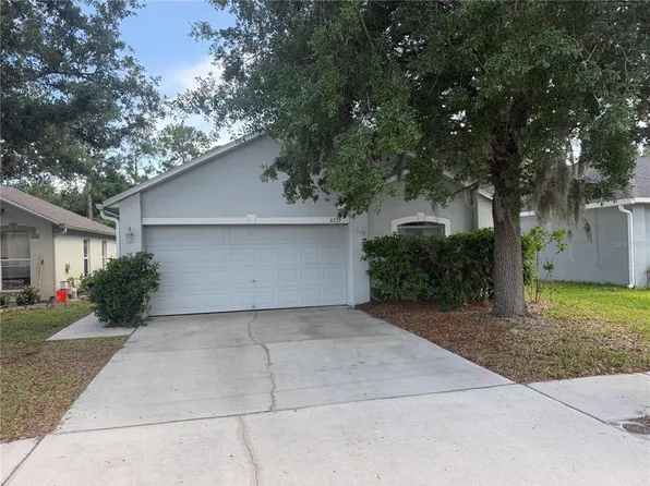 6529 Tabogi Trl, Wesley Chapel, FL 33545