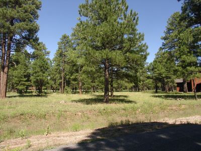 1287 Godfrey Sykes LOT 858, Flagstaff, AZ, 86005