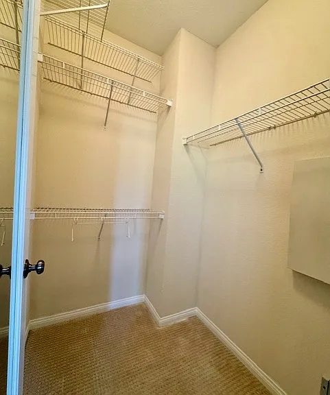 116 Coral Rose — Photo 21