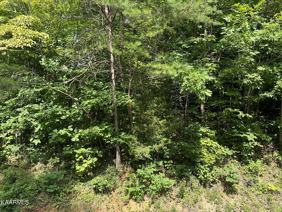 2nd image of 0 Jim Lee Ridge Rd Lot 141