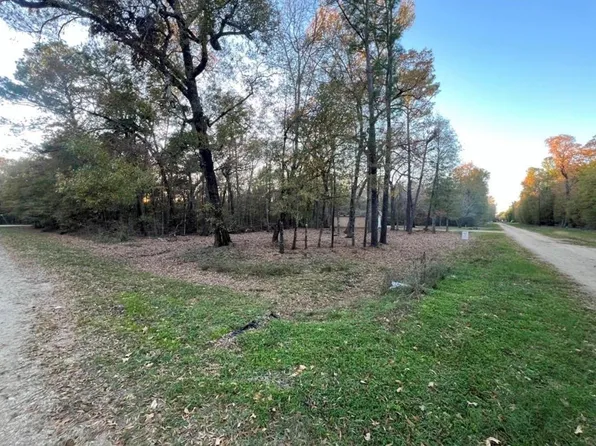 0 Mossy Dr, Livingston, TX 77351