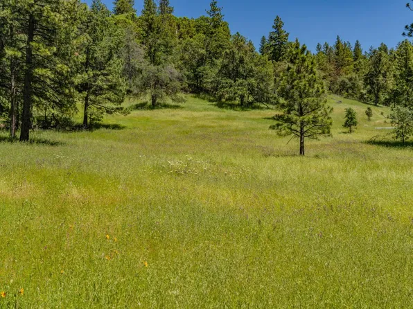 25755 State Highway 88, Pioneer, CA 95666