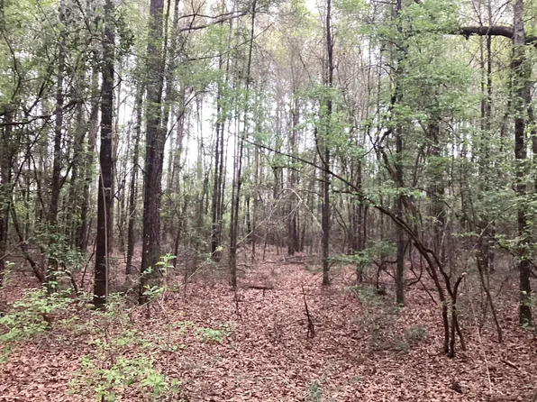 9 Beda Rd, Wing, AL 36483