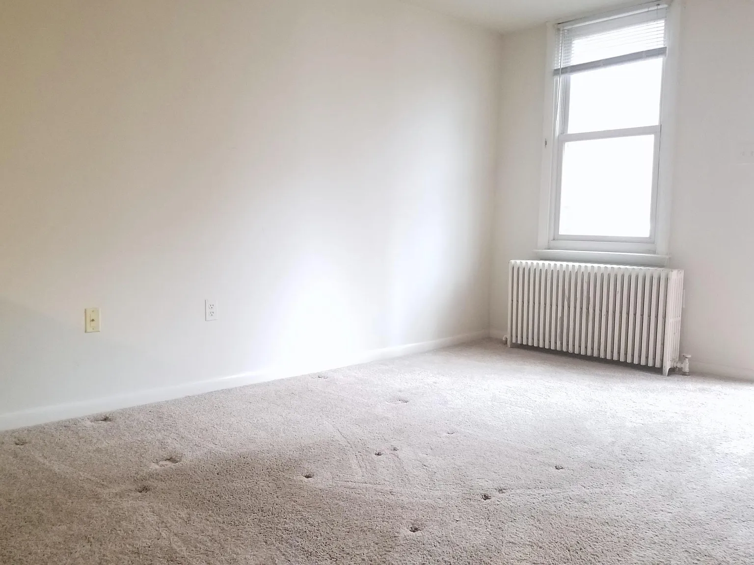 1 bed, $1,650 — Photo 4