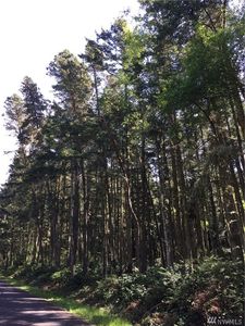 0 Pavey Blvd, Lopez Island, WA, 98261