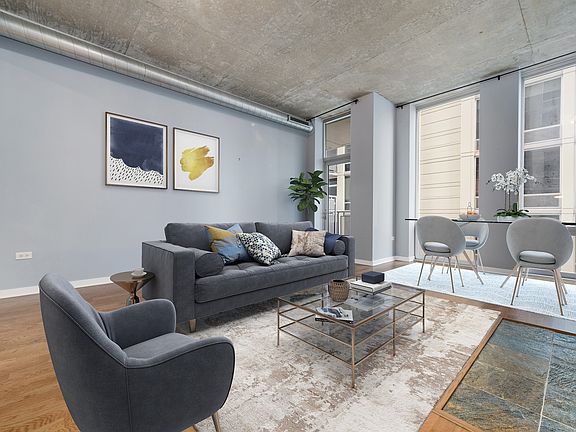 3rd image of 700 N Larrabee St #31