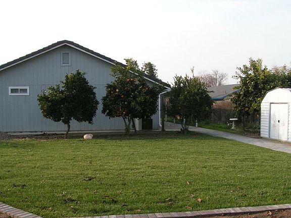 Large backyard with lawn and fruit trees
