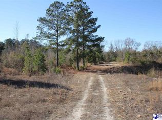 0 Country Manor Rd, Lamar, SC 29069