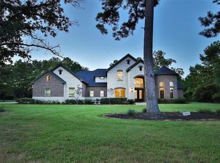 29013 Village Ridge Ct, Magnolia, TX 77355