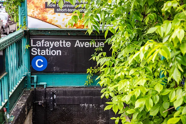 Rented by MNS | media 33