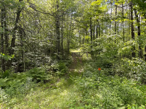 Birch Bay Rd, Tomahawk, WI 54487