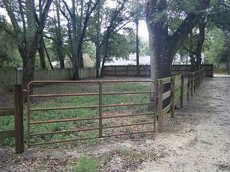 The Ideal Horse Paddock
