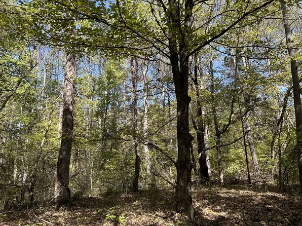 0 Camp Rd, Hohenwald, TN 38462