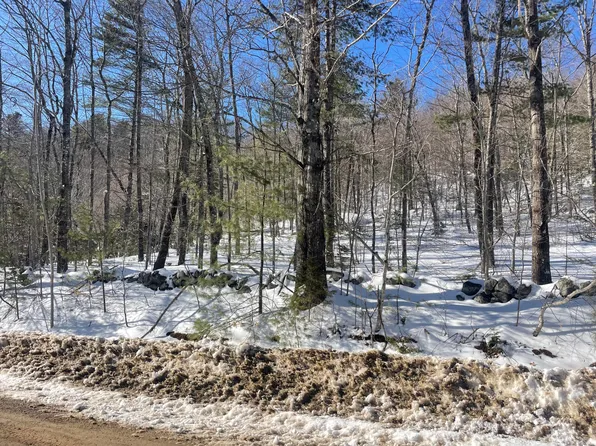 0 Curtis Hill Rd Map 1 Lot 23 Road, Woodstock, ME 04219