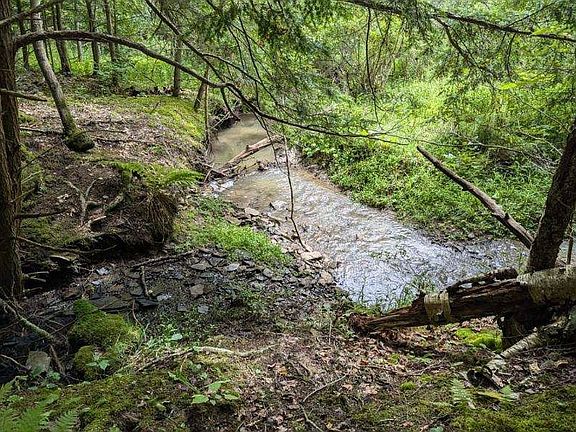 Stream running through 