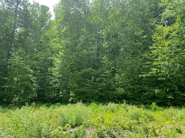 45 Foxglove Run Lane, Duxbury, VT 05676