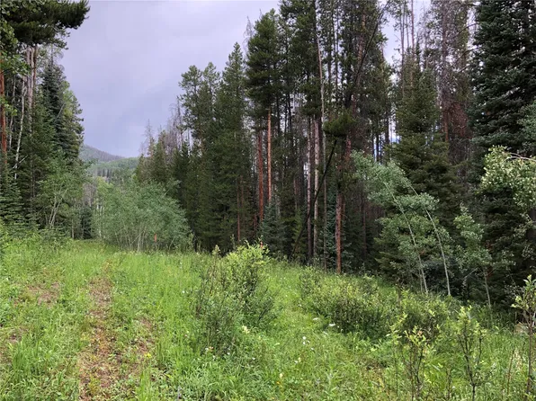 TBD Springboard Trail, Oak Creek, CO 80467