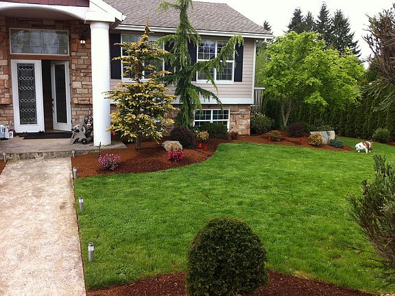 Front Yard