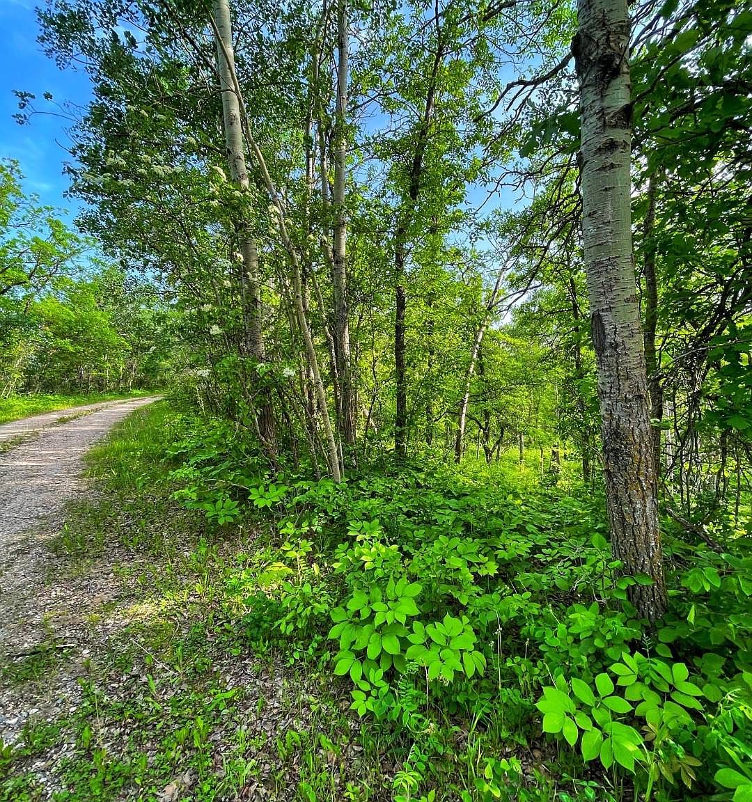 554 Birchwood Hts #12
