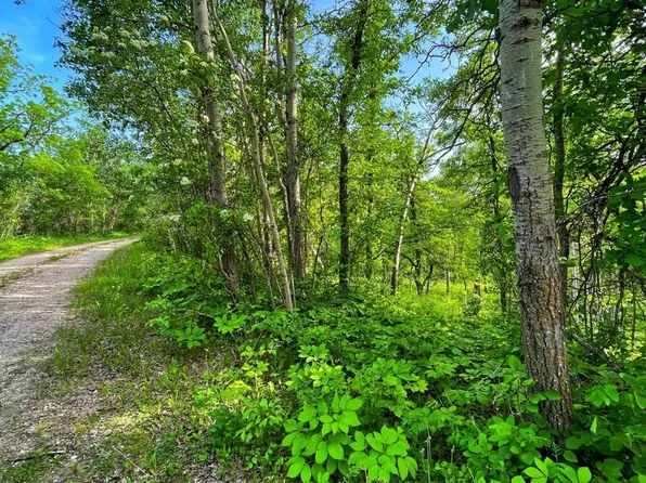 554 Birchwood Hts #12, Bottineau, ND 58318