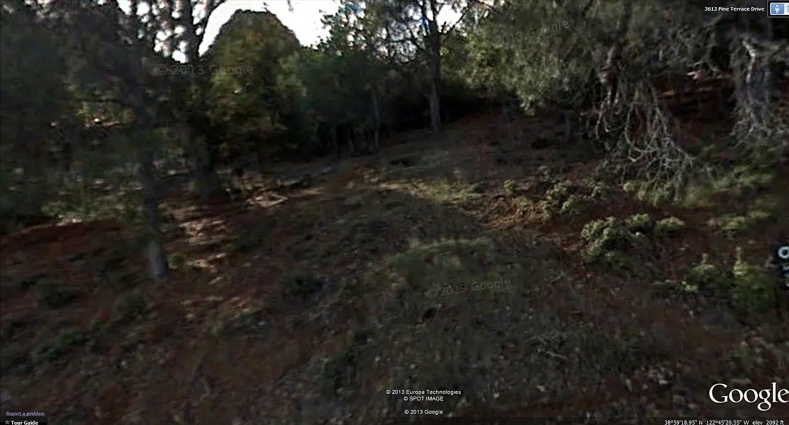 3615 Pine Terrace Dr photo 1