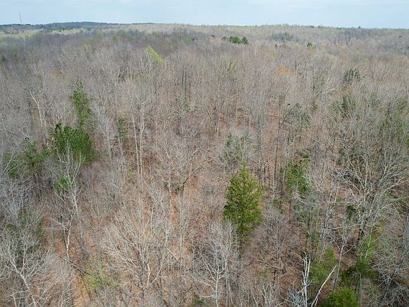 5th image of 0 Bible Hill Rd