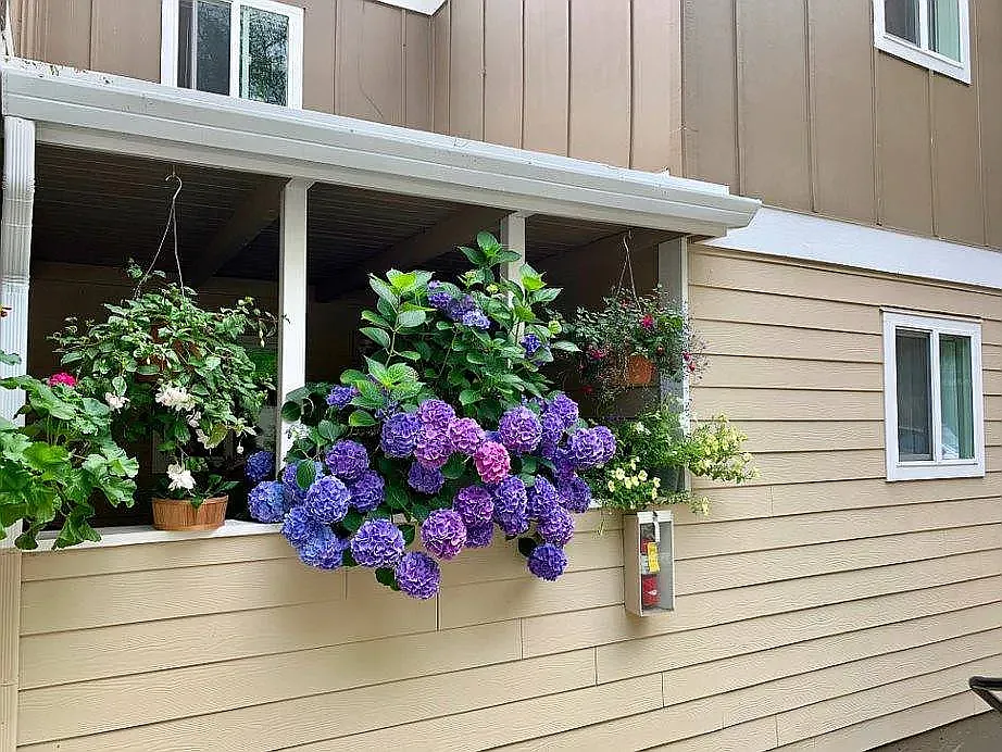 West Slope Terrace — Photo 3