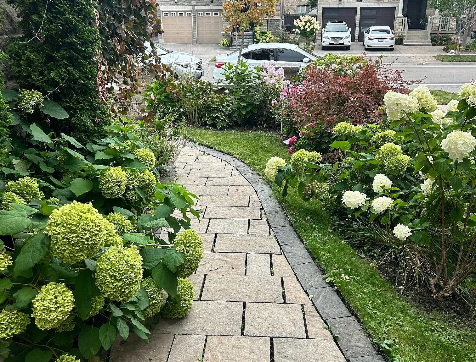 1 bed, $2,000 — Photo 2