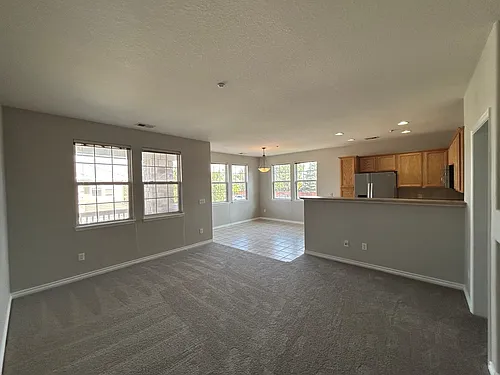 3313 Molly Ln Photo 1