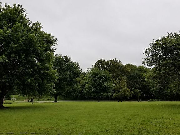 view of the front yard